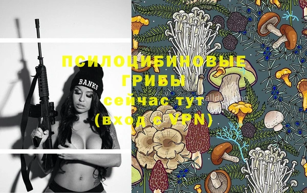 гашик Гусиноозёрск