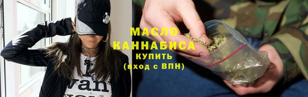 дмт Гусев