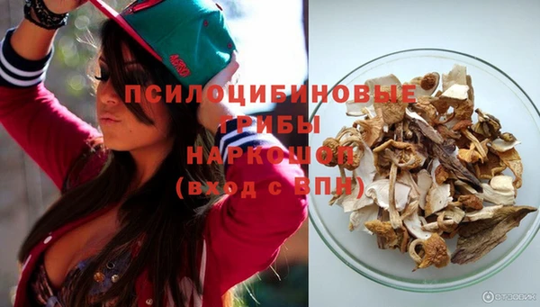 2c-b Гусь-Хрустальный