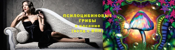 ПСИЛОЦИБИНОВЫЕ ГРИБЫ Ханты-Мансийск