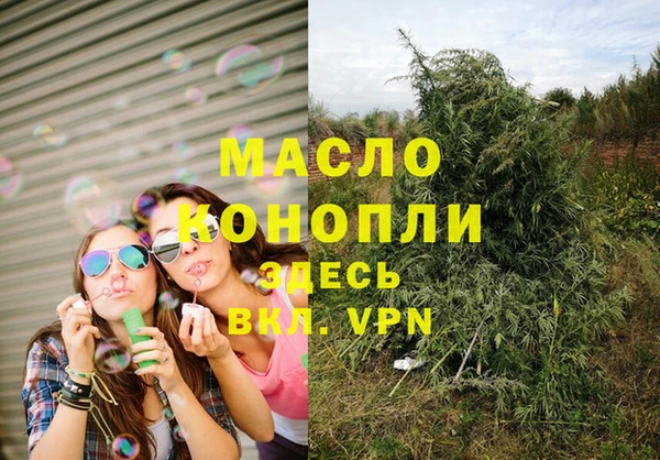 дмт Гусев