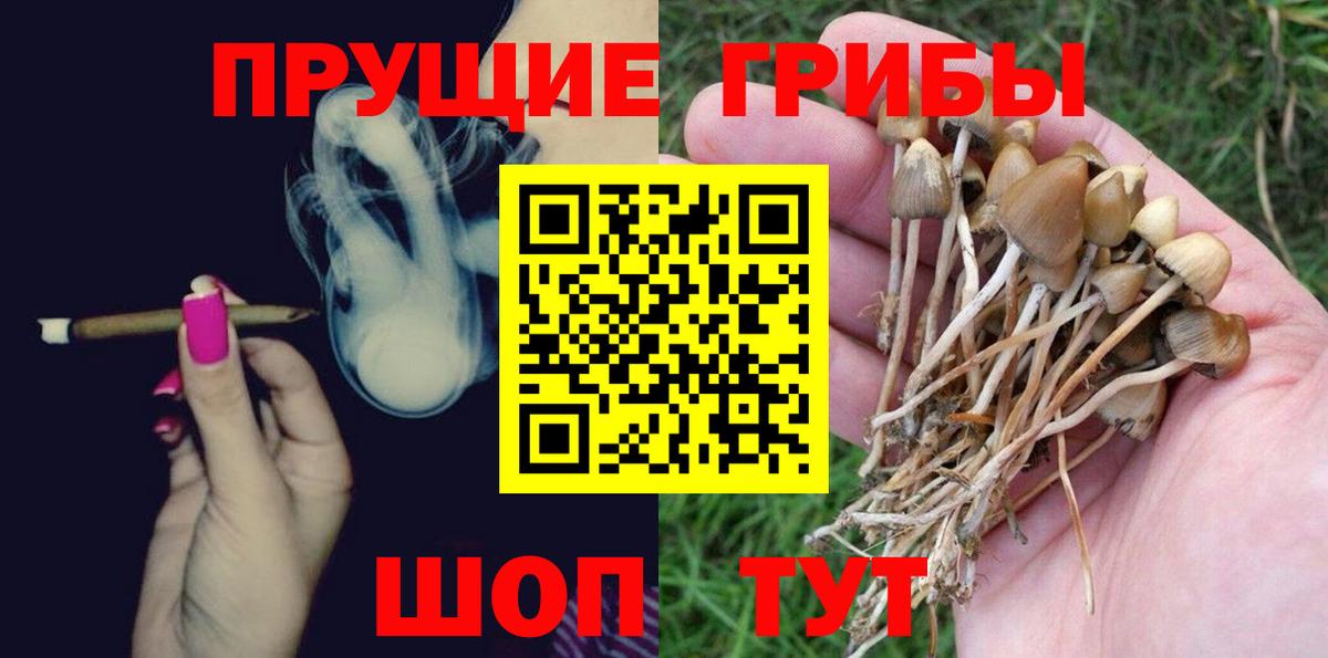 Галлюциногенные грибы мухоморы  хочу   Наро-Фоминск  Вход с VPN 