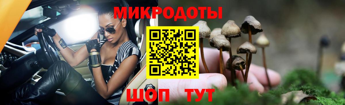 Псилоцибиновые грибы Cubensis Наро-Фоминск